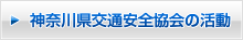 �_�ސ쌧��ʈ��S����̊���